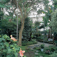 植物園園内の様子