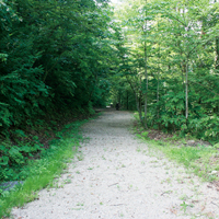 大深沢遊歩道